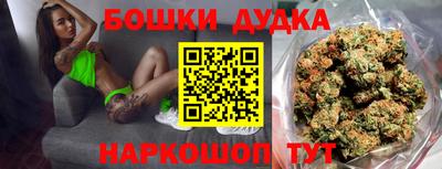 индика Пушкино