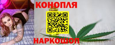 тгк Пугачёв
