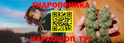 тгк Пугачёв